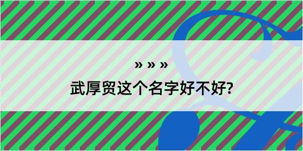 武厚贸这个名字好不好?