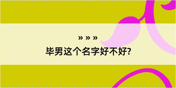 毕男这个名字好不好?