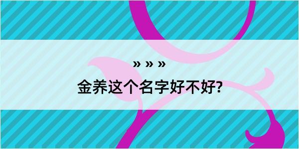 金养这个名字好不好?