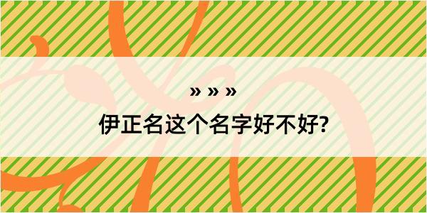 伊正名这个名字好不好?