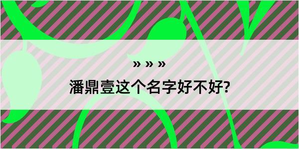 潘鼎壹这个名字好不好?