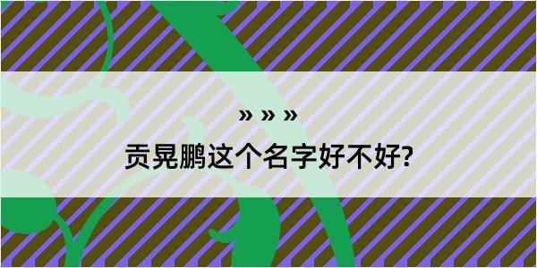 贡晃鹏这个名字好不好?