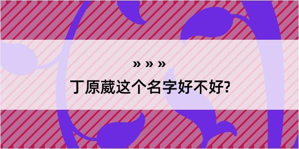 丁原葳这个名字好不好?