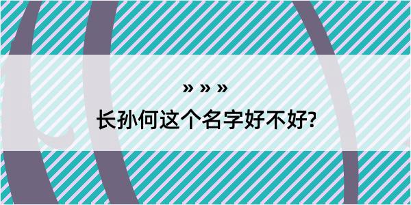 长孙何这个名字好不好?