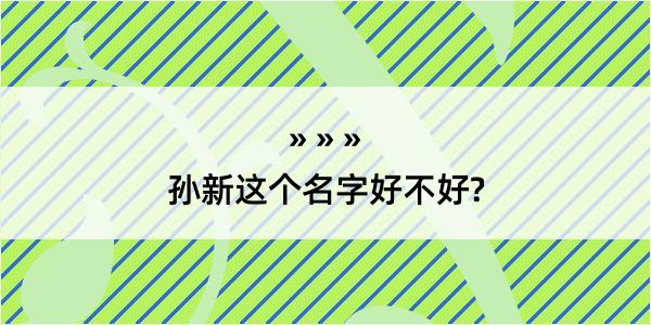 孙新这个名字好不好?