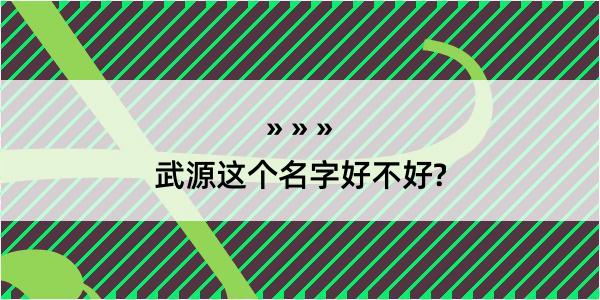 武源这个名字好不好?