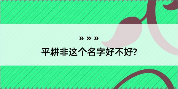 平耕非这个名字好不好?