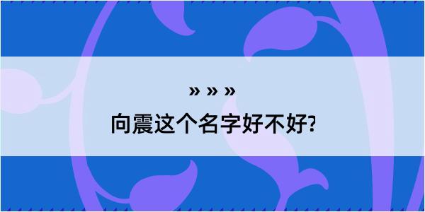 向震这个名字好不好?