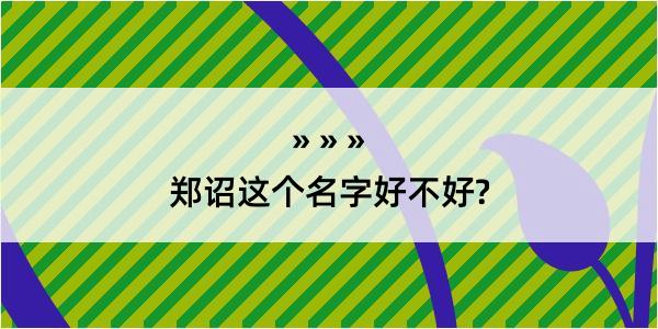 郑诏这个名字好不好?