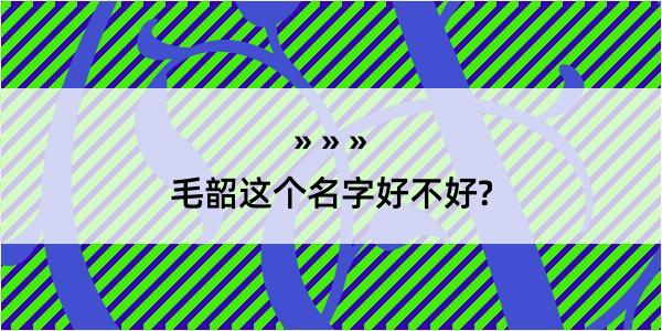 毛韶这个名字好不好?