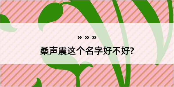 桑声震这个名字好不好?