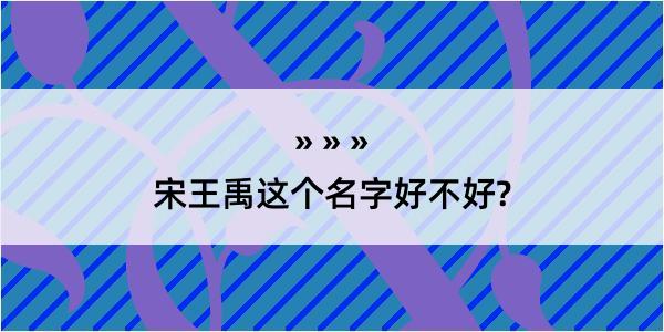 宋王禹这个名字好不好?