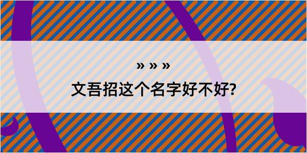 文吾招这个名字好不好?