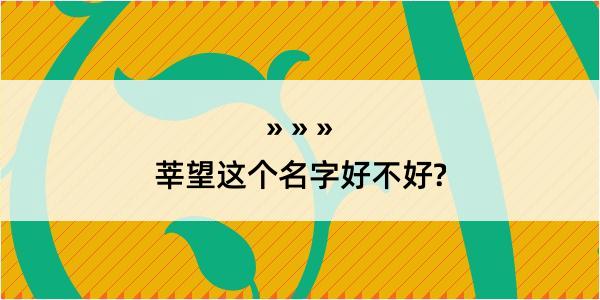 莘望这个名字好不好?