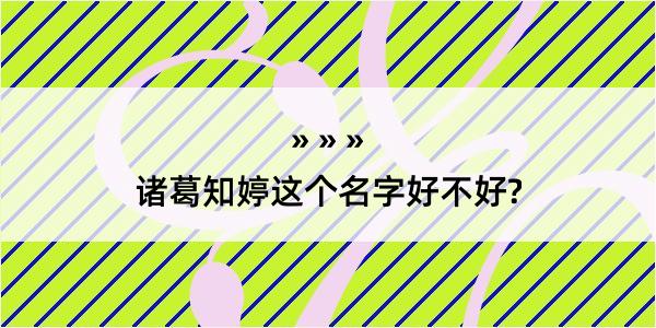 诸葛知婷这个名字好不好?