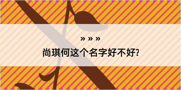 尚琪何这个名字好不好?