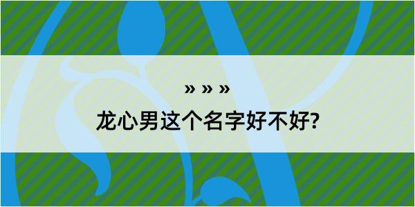 龙心男这个名字好不好?