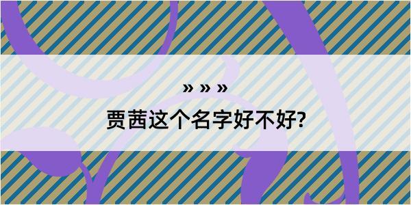 贾茜这个名字好不好?