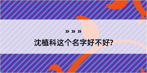 沈植科这个名字好不好?