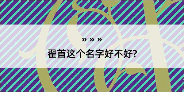 翟首这个名字好不好?