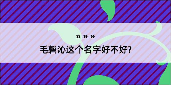 毛磬沁这个名字好不好?