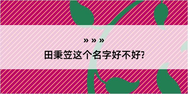 田秉笠这个名字好不好?