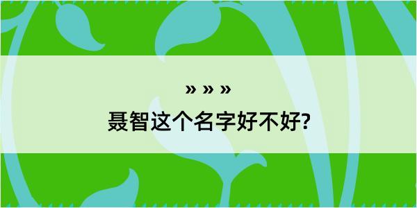 聂智这个名字好不好?