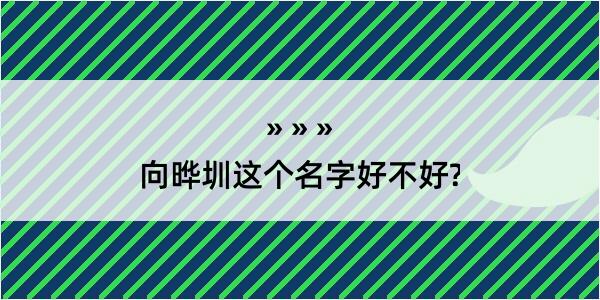 向晔圳这个名字好不好?