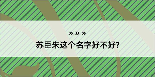 苏臣朱这个名字好不好?