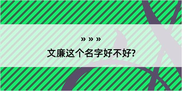 文廉这个名字好不好?