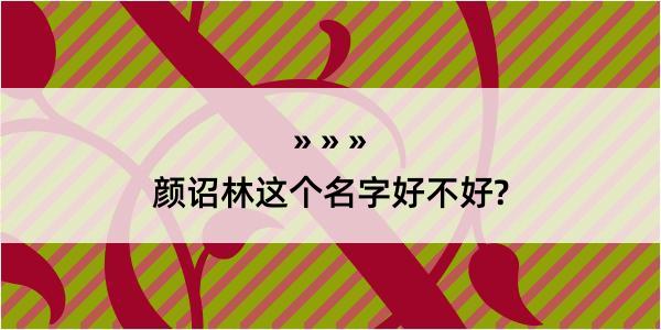 颜诏林这个名字好不好?