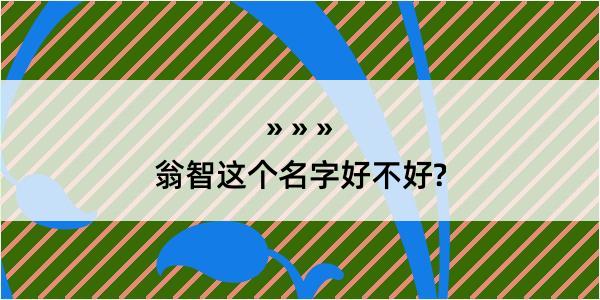 翁智这个名字好不好?