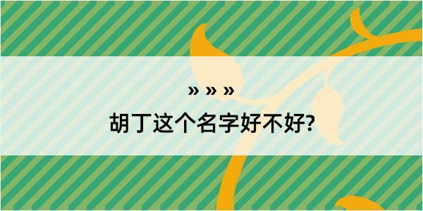 胡丁这个名字好不好?