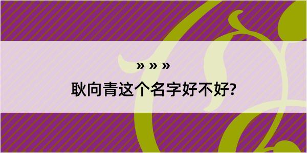 耿向青这个名字好不好?