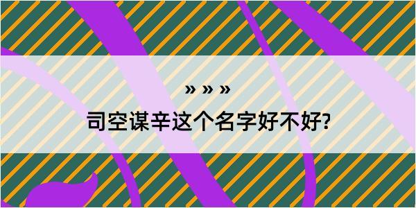 司空谋辛这个名字好不好?