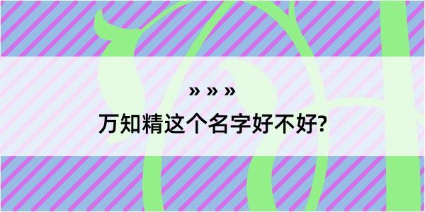 万知精这个名字好不好?