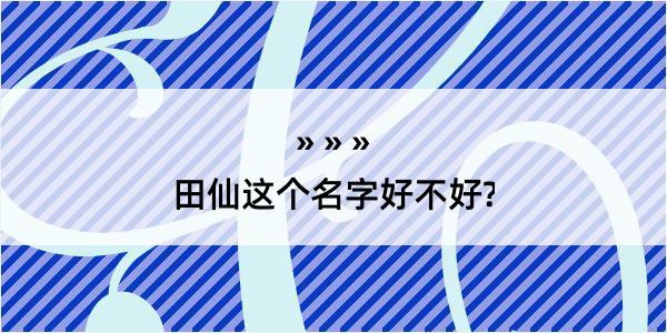 田仙这个名字好不好?