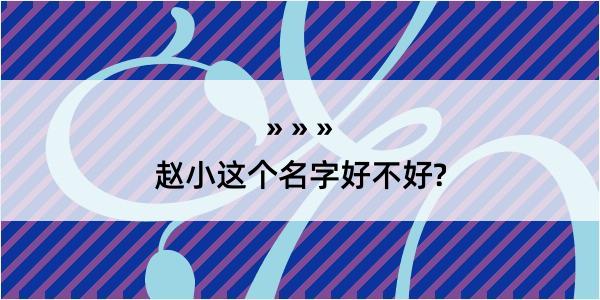 赵小这个名字好不好?