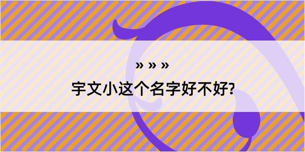 宇文小这个名字好不好?