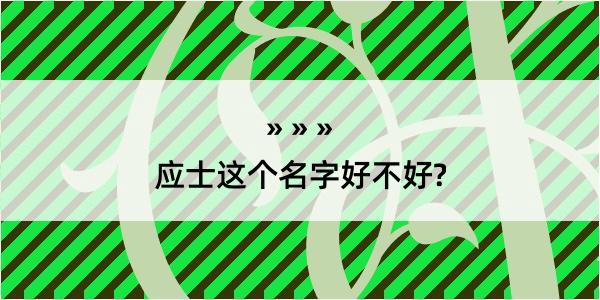 应士这个名字好不好?