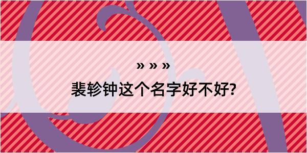 裴轸钟这个名字好不好?