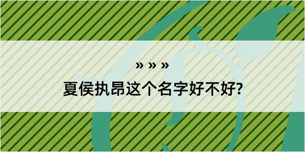 夏侯执昂这个名字好不好?