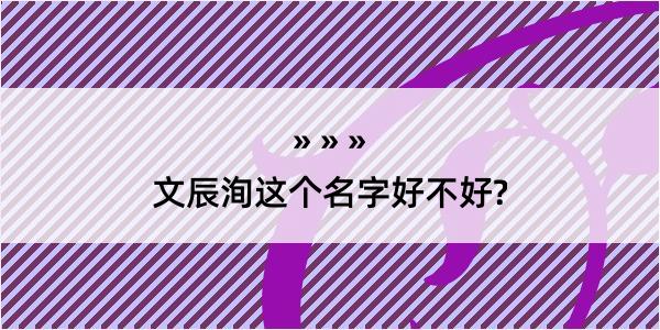 文辰洵这个名字好不好?