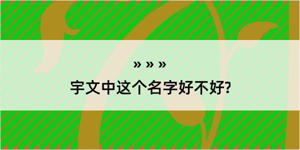 宇文中这个名字好不好?