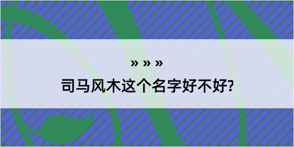 司马风木这个名字好不好?