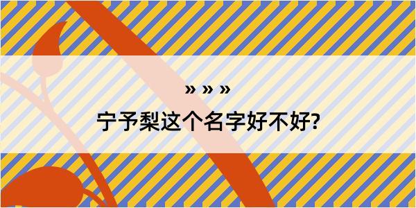 宁予梨这个名字好不好?