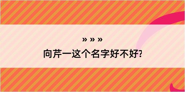 向芹一这个名字好不好?