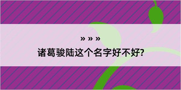 诸葛骏陆这个名字好不好?