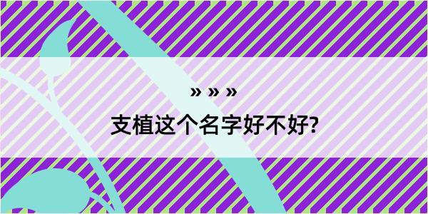 支植这个名字好不好?