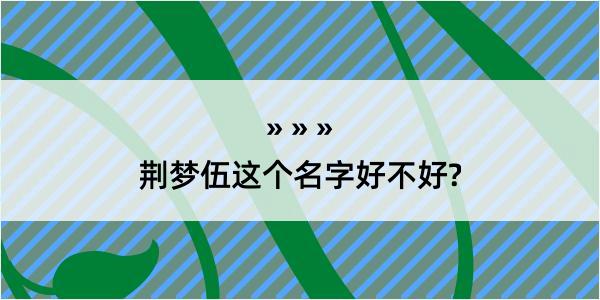 荆梦伍这个名字好不好?